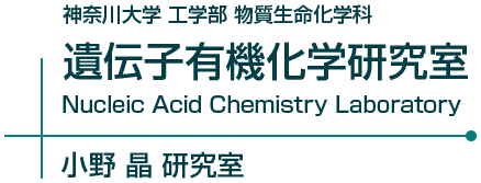 神奈川大学工学部物質生命化学科遺伝子有機化学研究室